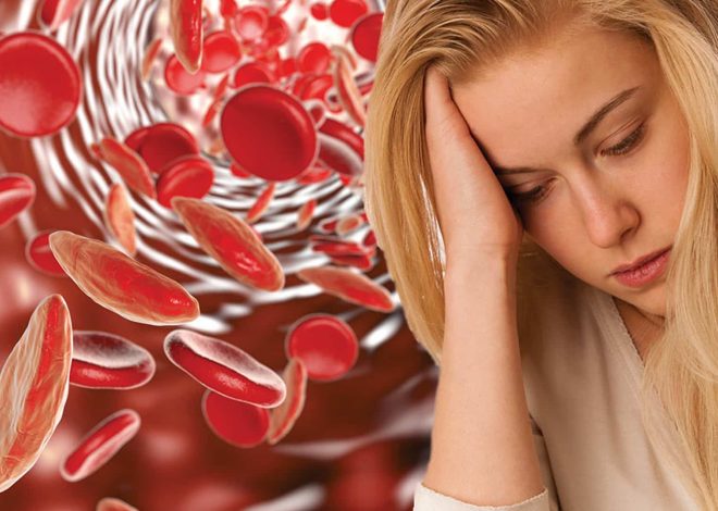 Железодефицитная анемия у женщин: диагностика, лечение и профилактика - 1