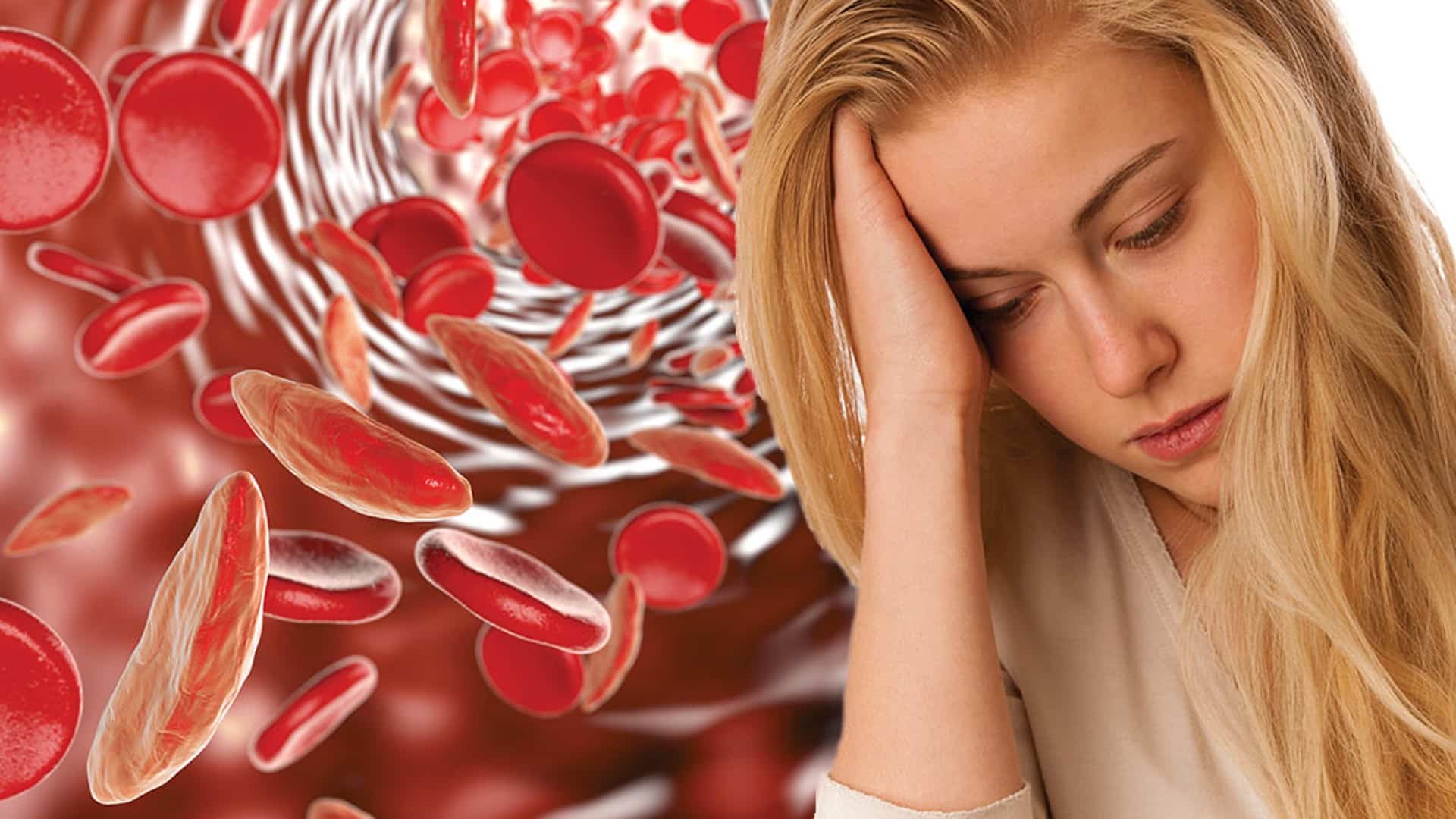 Железодефицитная анемия у женщин: диагностика, лечение и профилактика - 1