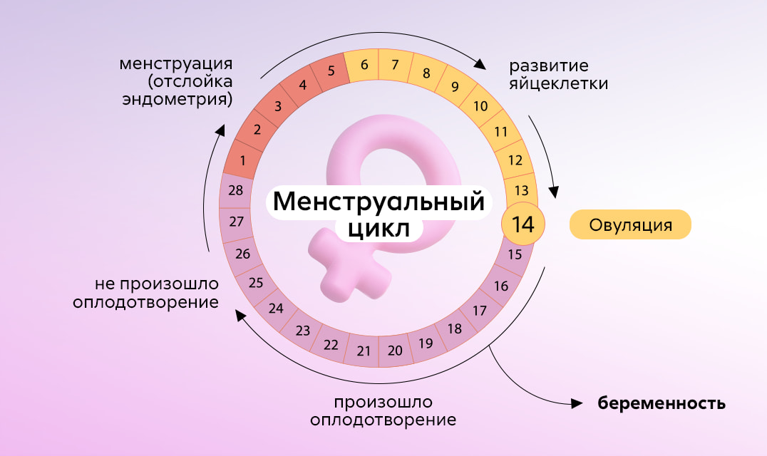 Нарушения менструального цикла у женщин: причины, диагностика и наблюдение - 4